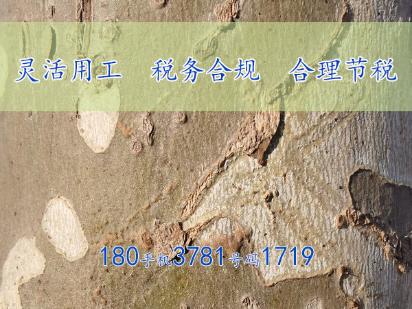 周口“灵活用工”省税节税筹划