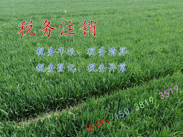 兰考县代办“税务注销”