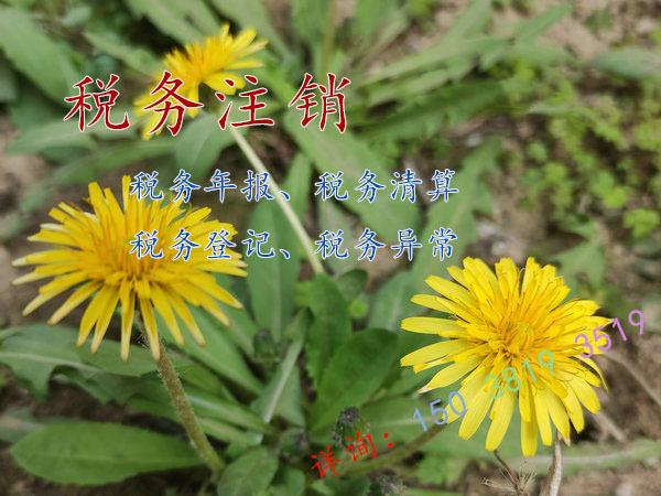 兰考县一般纳税人公司税务注销澄