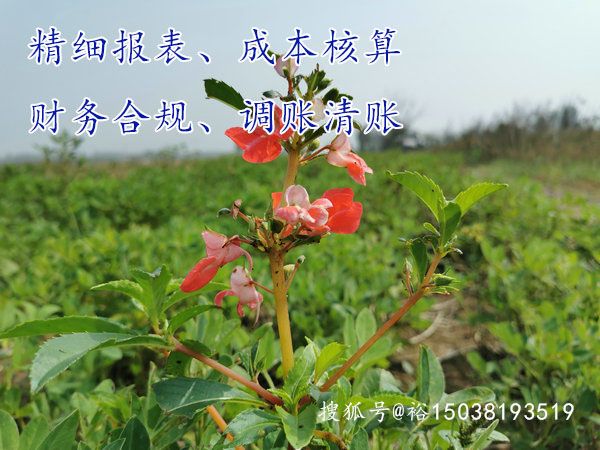 小加工厂如何做成本核算？郑州高阶精细化财务核算裕(图1)