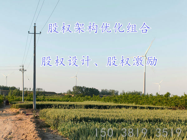 郑东新区股权设计,郑东新区股权激励方案,郑东新区股权架构,裕(图1)