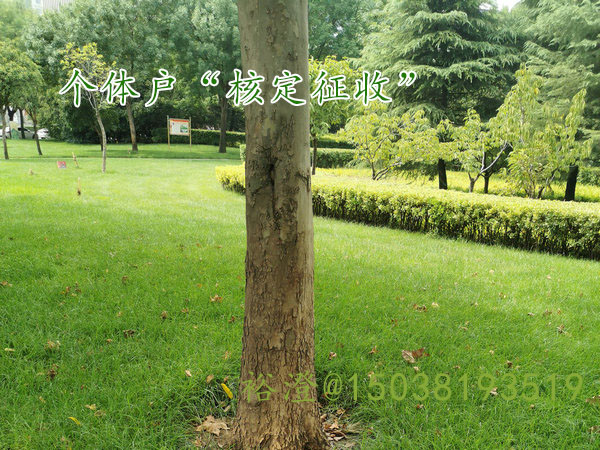 杞县注册个体户“核定征收”澄