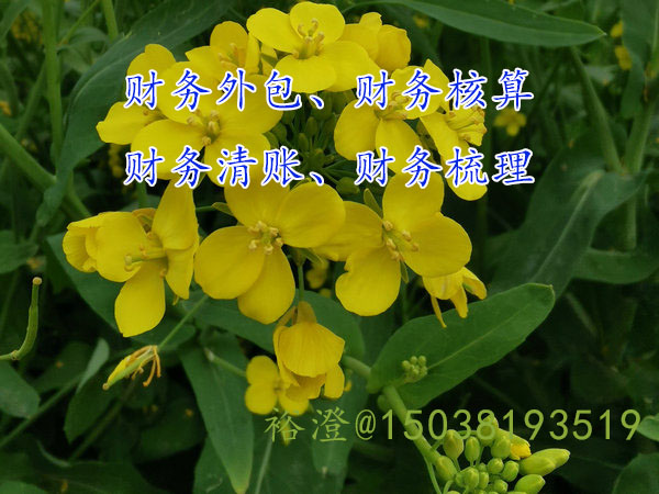 裕郑州的高新技术企业为什么要选择“财务外包”？