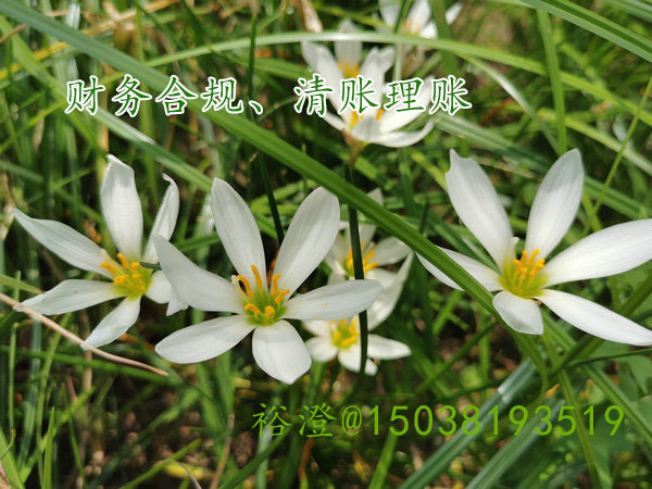 郑州电商企业“财务合规”降低涉税风险澄(图1)