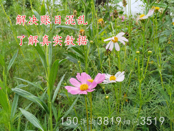 郑州商贸公司财务外包成本精细化核算澄