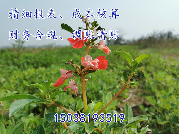 郑州工厂类企业想做详细的成本核算怎么办澄？