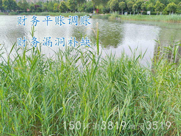 郑州生产制造工厂财务调账财务平账