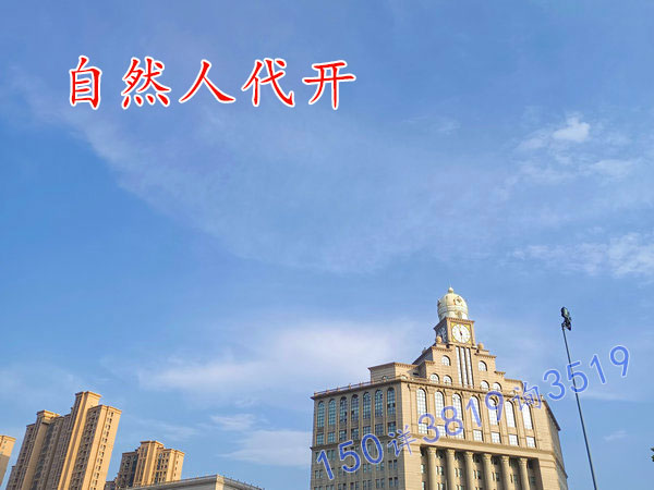 河南自然人代开税率低的园区澄