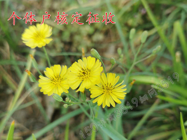 郑州工厂采购原材料没有票怎么办？