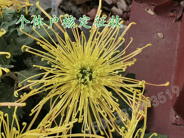 河南核定征收个税个体户注册说明