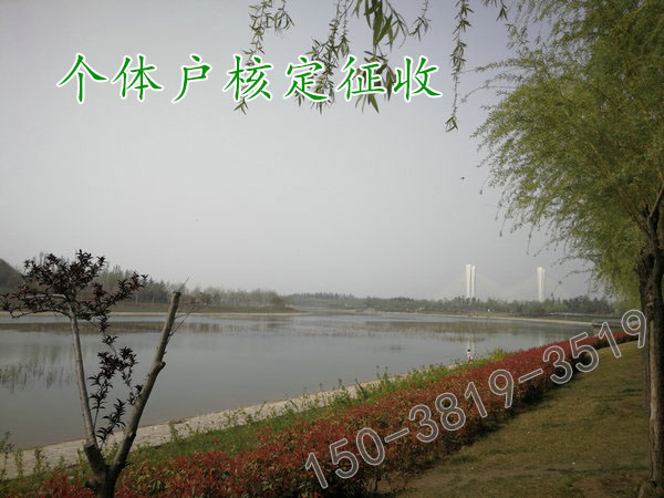 河南核定征收个税个体户注册说明(图1)
