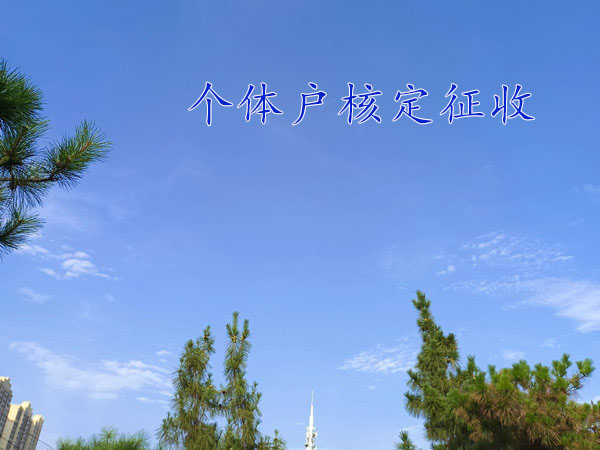 杞县注册个体户“核定征收”澄