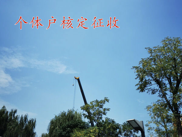如何把“河南自然人代开”关键词的网站排名做到搜索结果有前面？