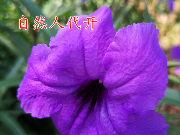 河南自然人代开“居间服务费”1.5%优惠个税园区优惠澄