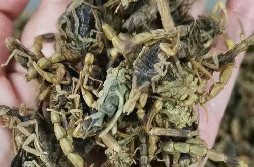 如何评估河南膏药原材料供应商的售后服务质量？